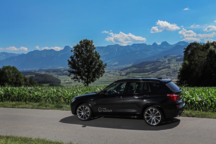  BMW X1 by dAHLer (F48) 2018 года  (фото 13 из 17)